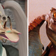 Illustration for article titled Behold, Video Gamings Jar-Jar Glitch